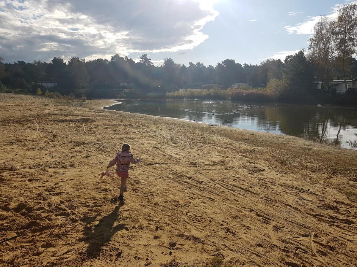 הוילה Balen " Casitacuriosa " Chalet Op Camping Met Buitenzwembad מראה חיצוני תמונה