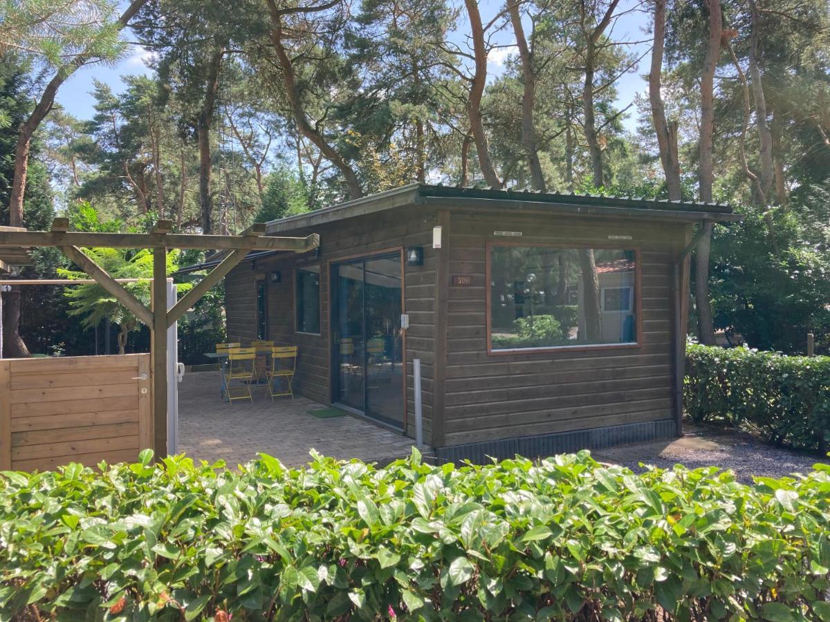 הוילה Balen " Casitacuriosa " Chalet Op Camping Met Buitenzwembad מראה חיצוני תמונה